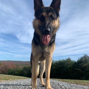 Meet your Posher, Kennedy